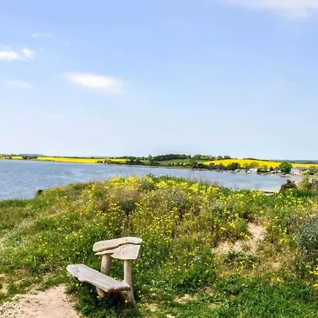 Plattmuschel Ilse Ostseebad Moenchgut Apartman